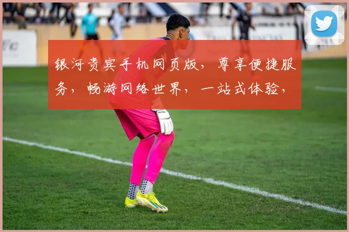 银河贵宾手机网页版，尊享便捷服务，畅游网络世界，一站式体验，三重惊喜，不容错过