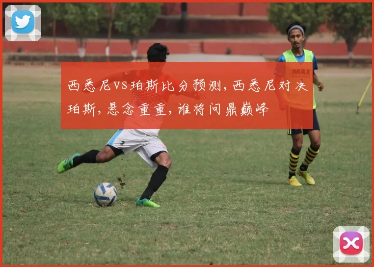 西悉尼vs珀斯比分预测,西悉尼对决珀斯,悬念重重,谁将问鼎巅峰
