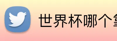 世界杯哪个靠谱 Logo